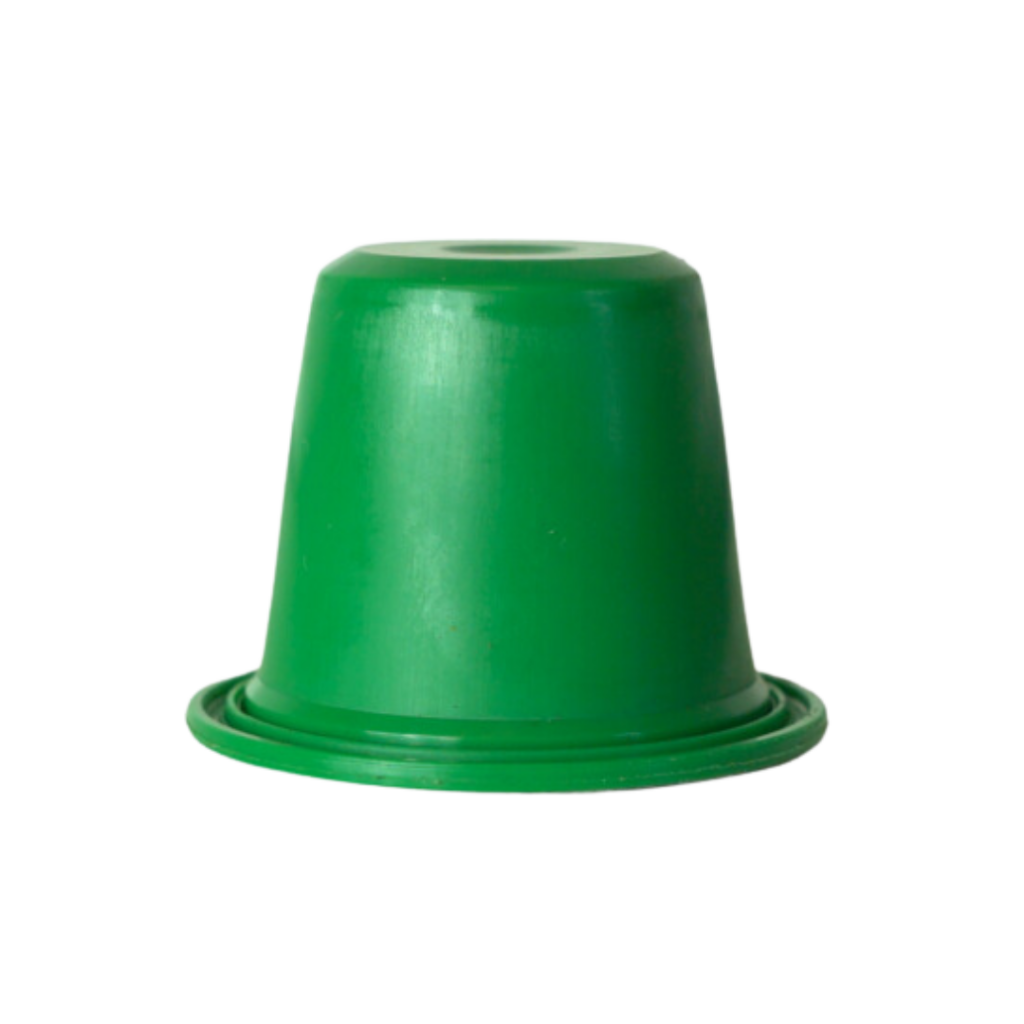Groen kapsel
