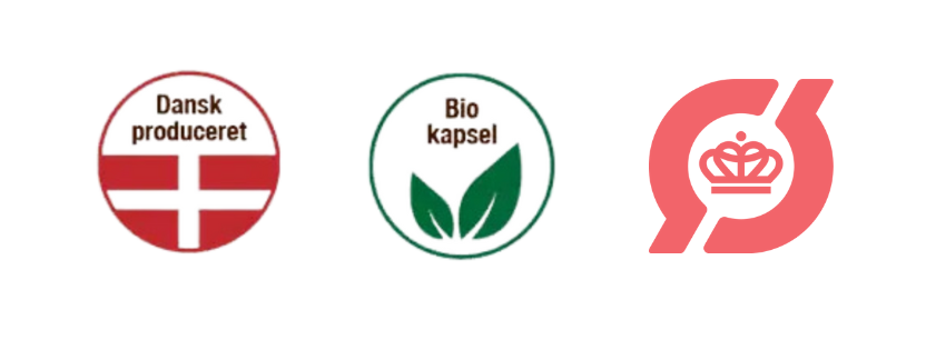 Design uden navn – 2024 10 07T131623.236